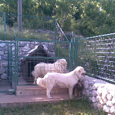 Luna et Lord Beli